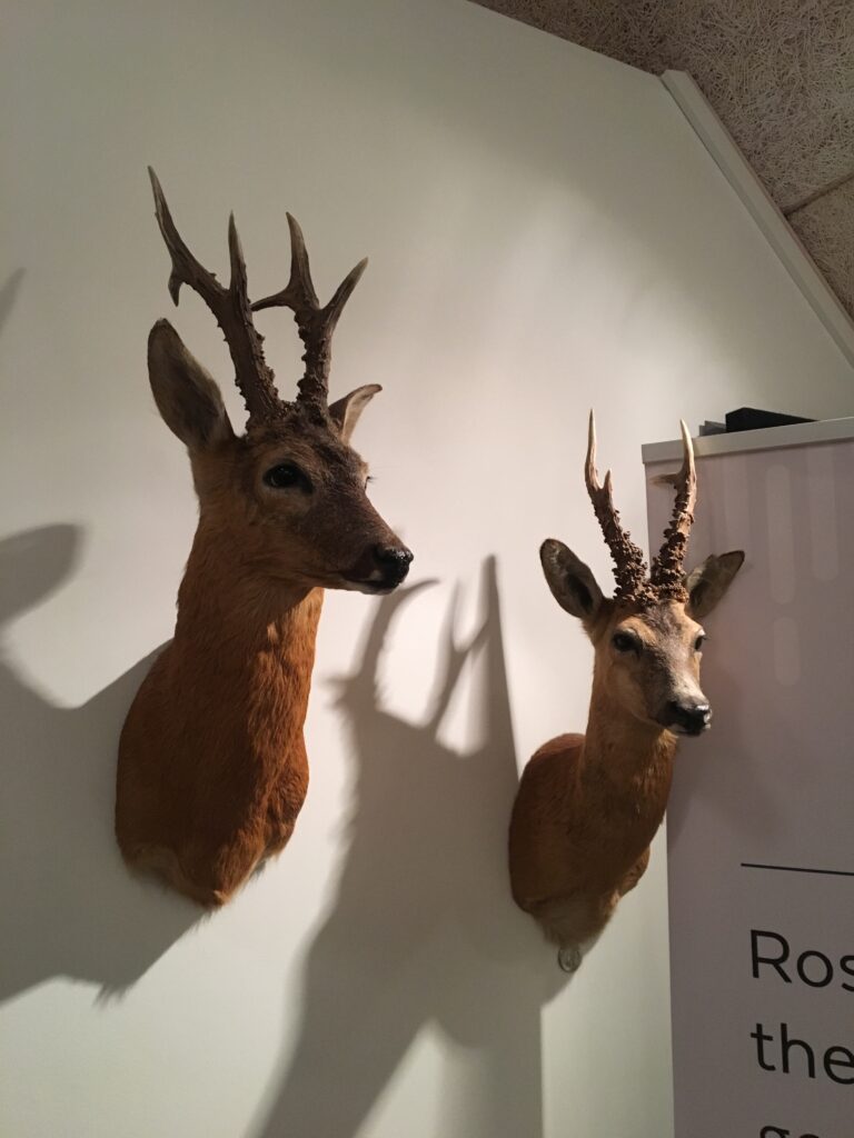 billede 27 11 2018 18.03.45