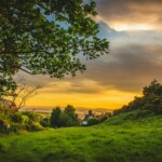 Golden sunset over a grassy countryside countryside sunset foogallery sample image 4